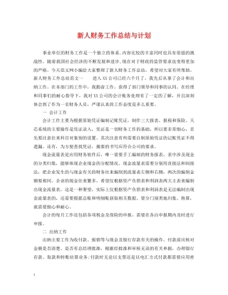 新人财务工作总结与计划 