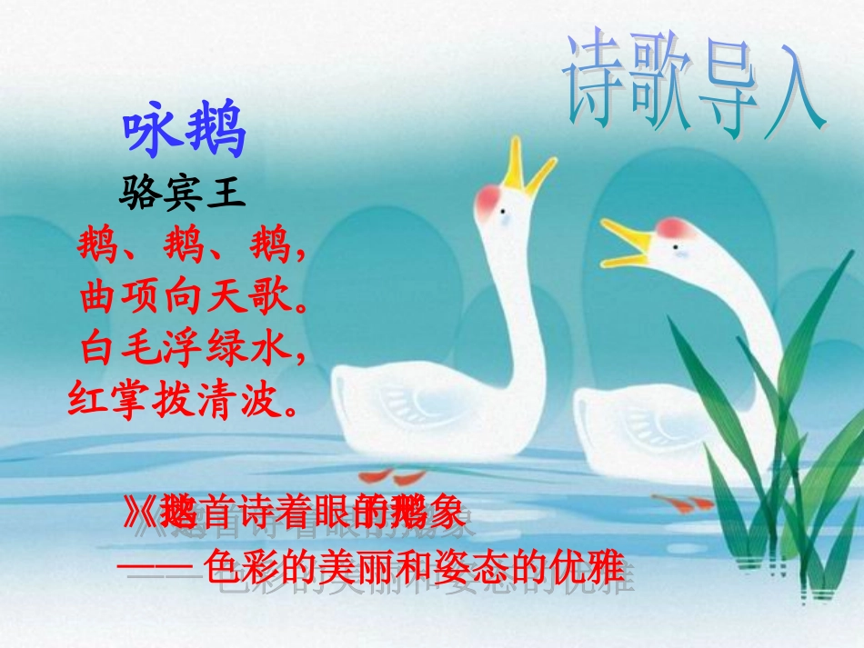 《白鹅》课件 (2)_第2页