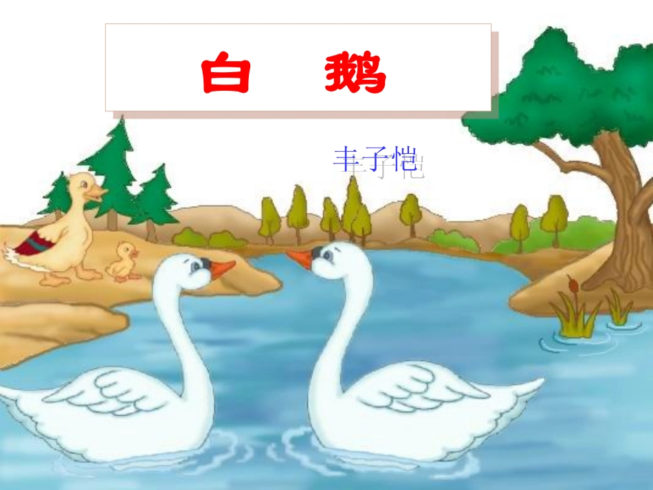 《白鹅》课件 (2)_第3页