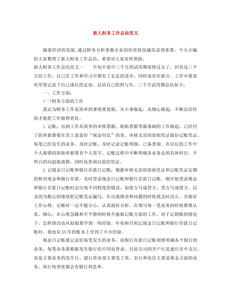 新人财务工作总结范文 _第1页