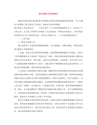 新人财务工作总结范文 