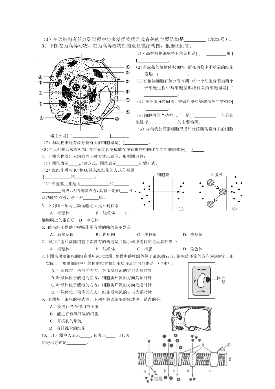 高中生物知识必修一复习提纲（第三章）_第2页