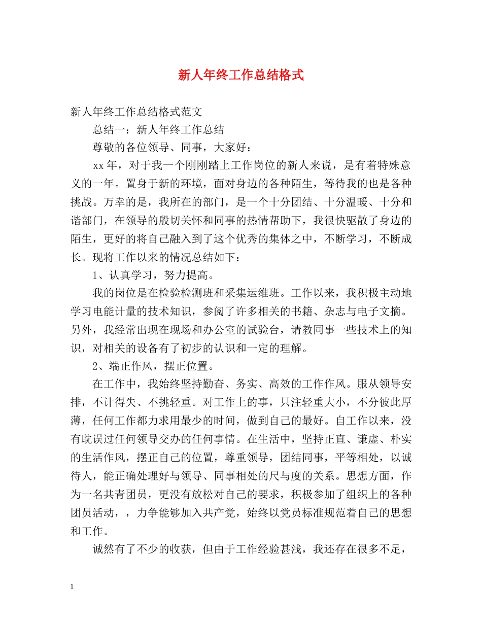 新人年终工作总结格式 _第1页
