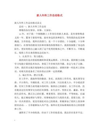 新人年终工作总结格式 