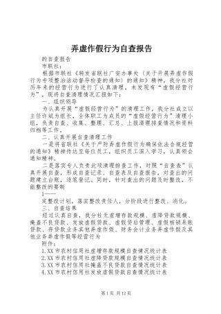 弄虚作假行为自查报告