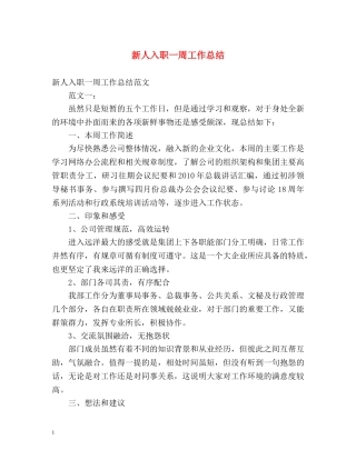 新人入职一周工作总结 