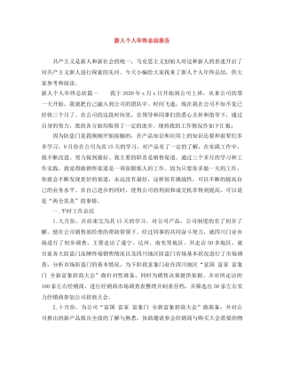 新人个人年终总结报告 