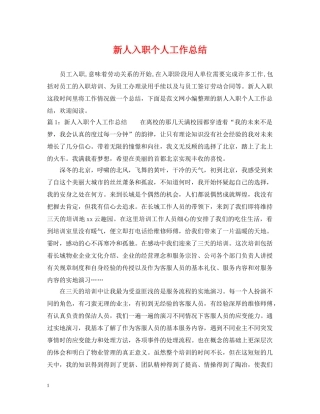 新人入职个人工作总结 
