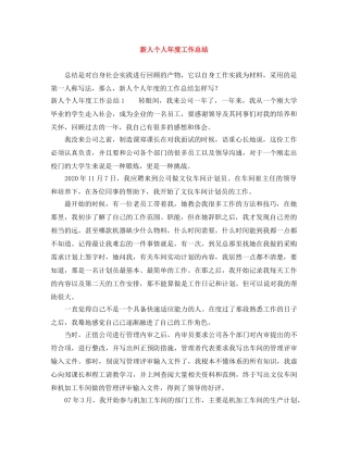 新人个人年度工作总结 