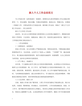 新人个人工作总结范文 