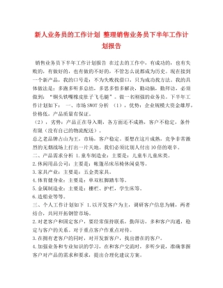 新人业务员的工作计划 整理销售业务员下半年工作计划报告 