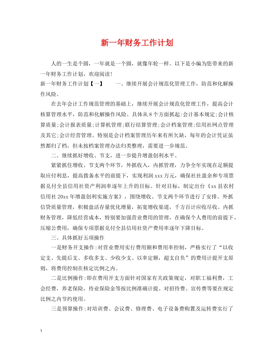 新一年财务工作计划2 _第1页