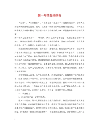 新一年的总结报告 