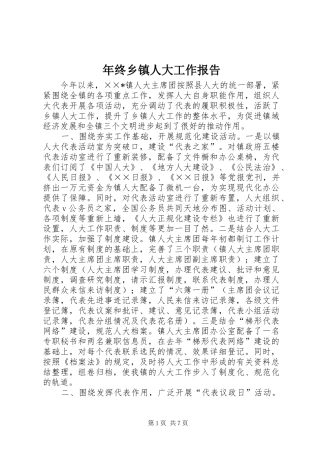 年终乡镇人大工作报告