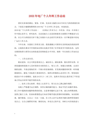 电厂个人年终工作总结2