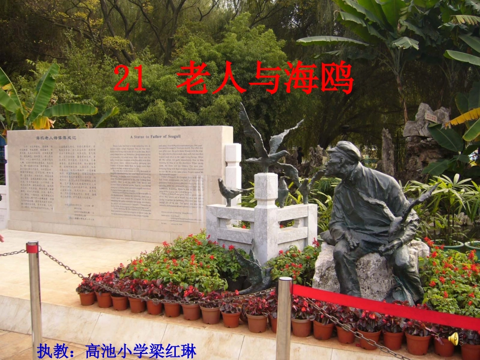 六年级——老人与海鸥_第1页