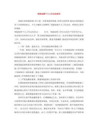 效能监察个人工作总结报告 