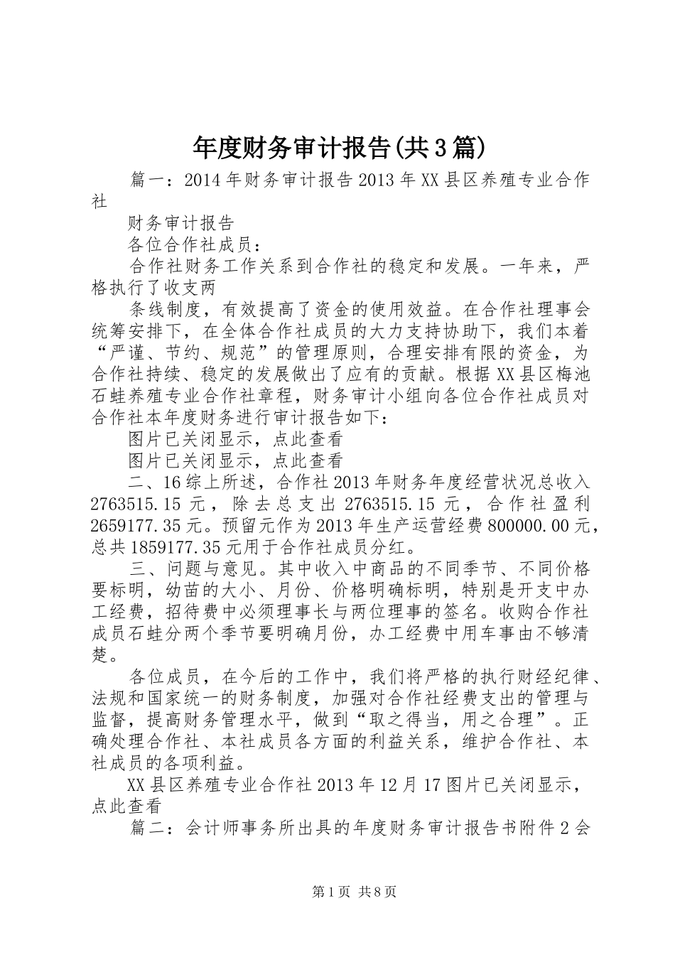 年度财务审计报告(共3篇)_第1页