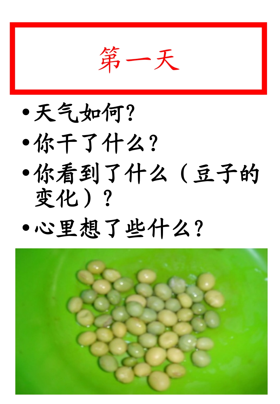 豆芽日记课件_第3页