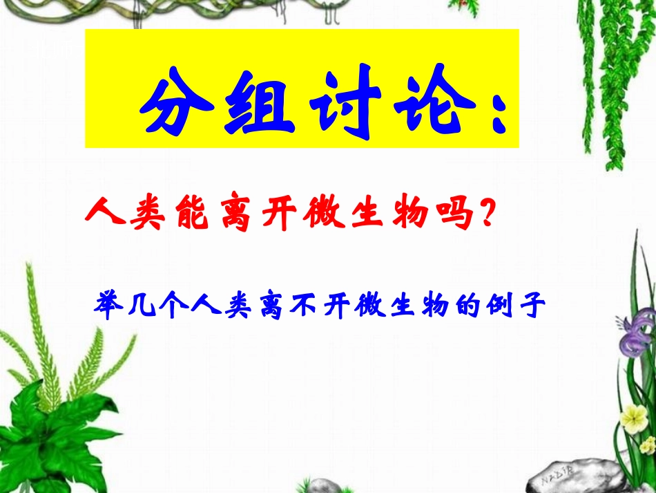 微生物与人类的关系_第2页
