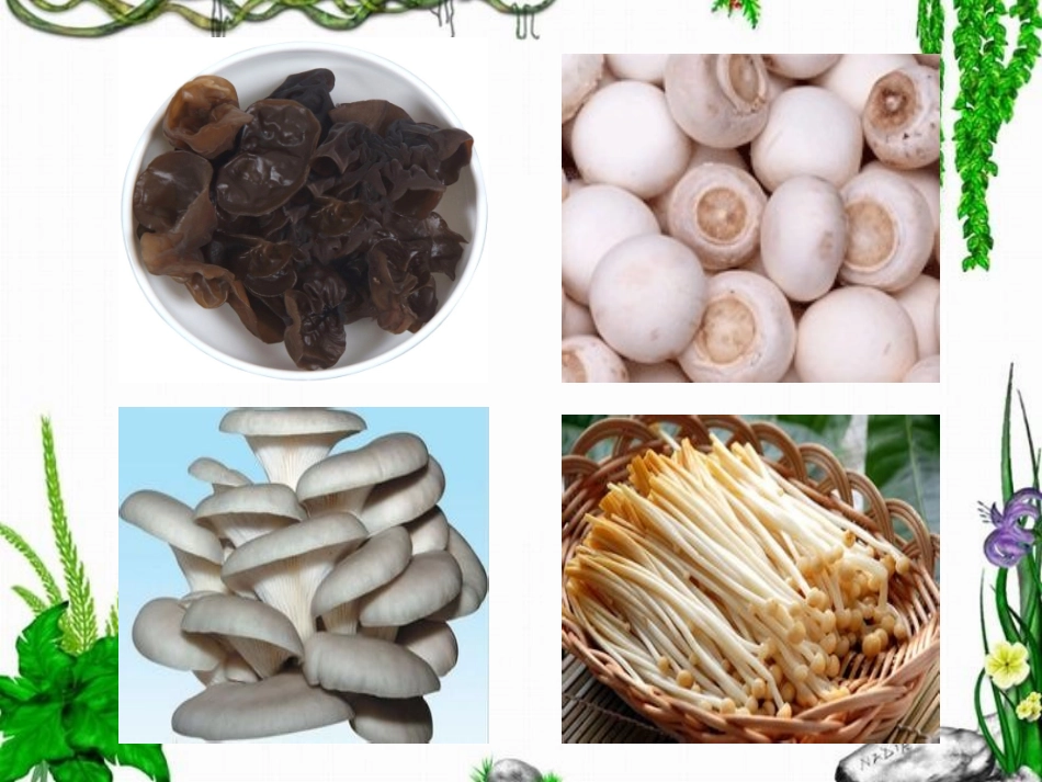 微生物与人类的关系_第3页