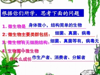 微生物与人类的关系