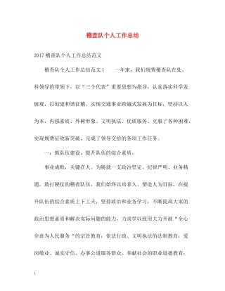 稽查队个人工作总结