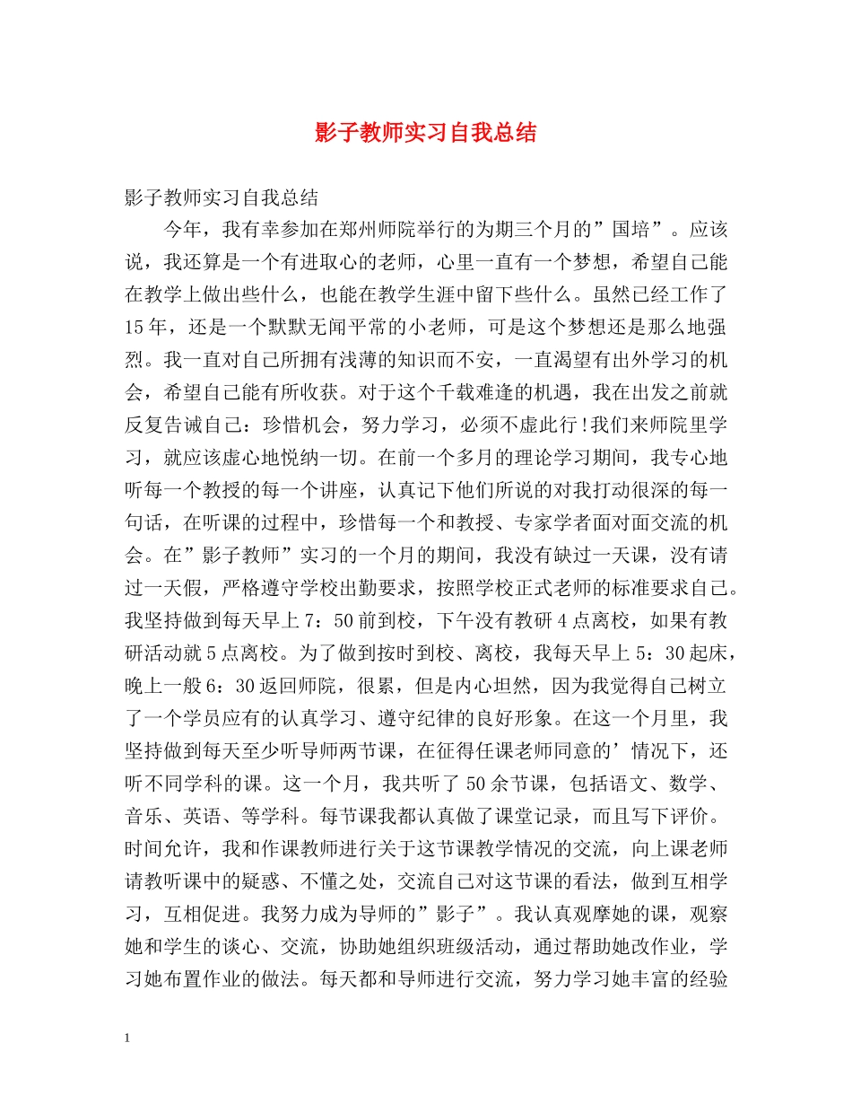 影子教师实习自我总结 _第1页