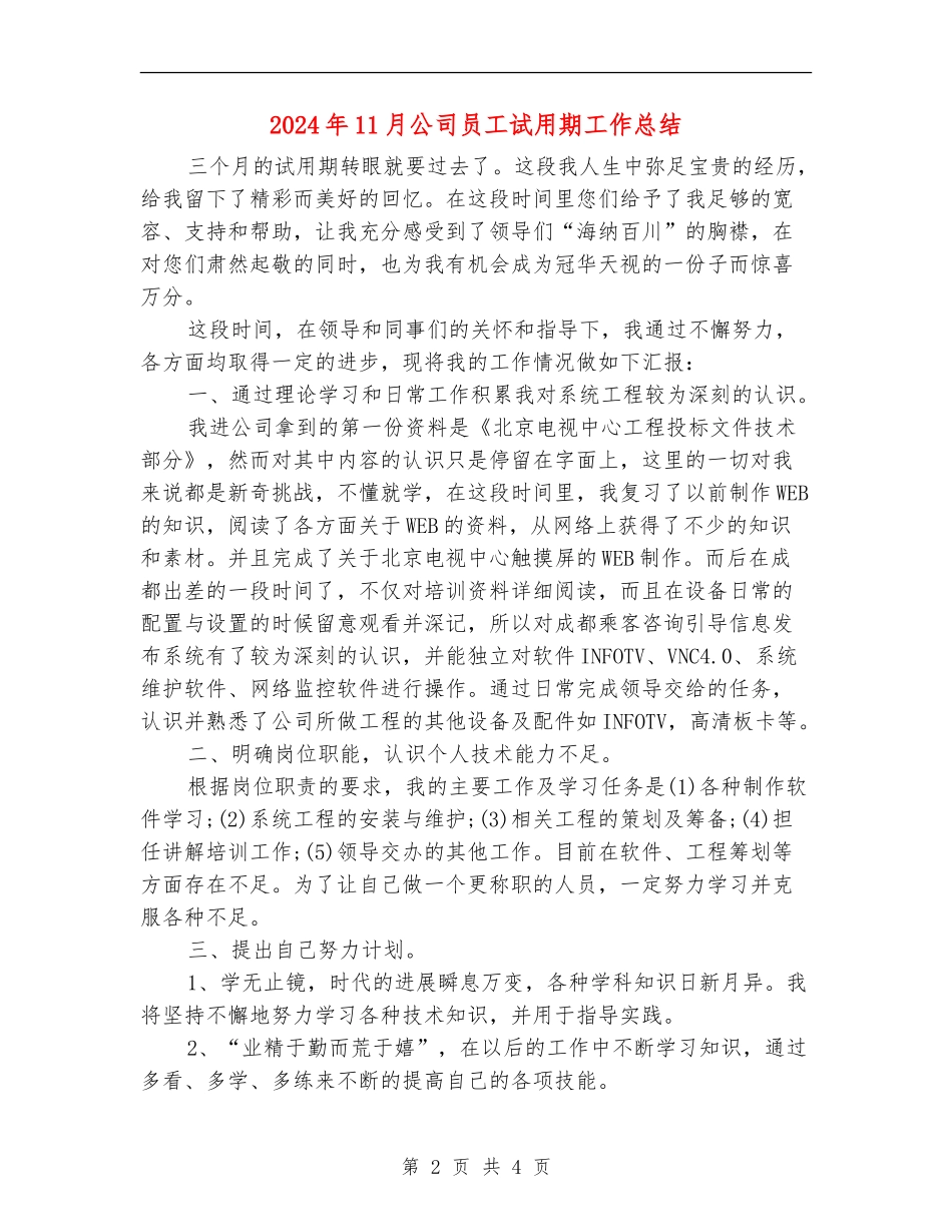 2024年11月公司员工试用期工作总结_第2页