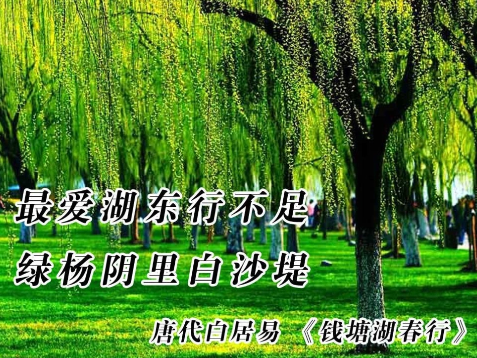 湖心亭看雪课件 (2)_第1页