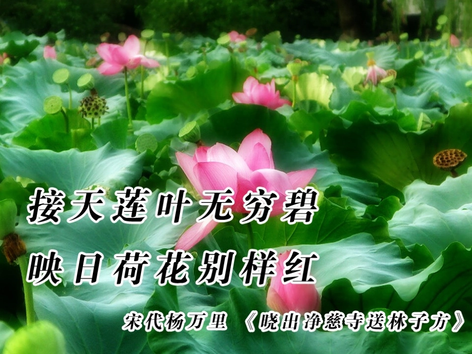 湖心亭看雪课件 (2)_第2页
