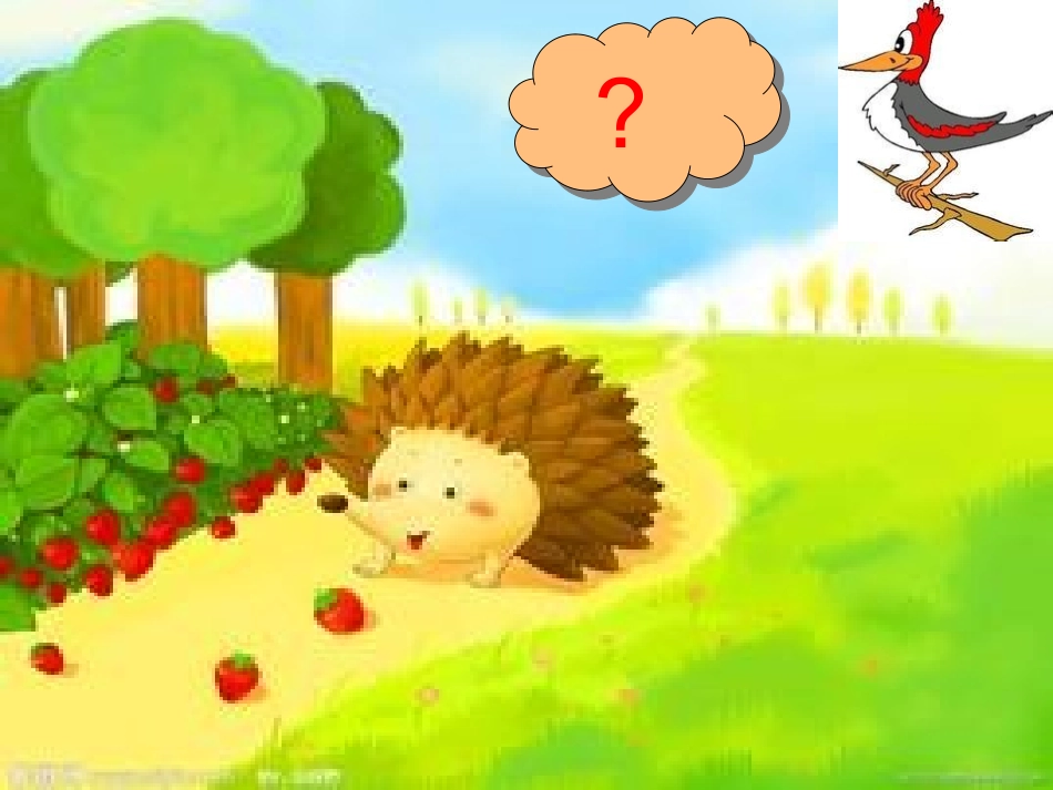 动物网吧课件_第3页