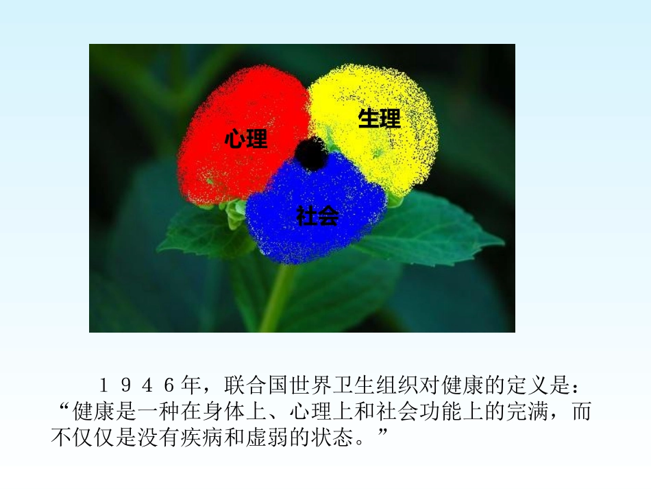 青少年心理健康_第2页