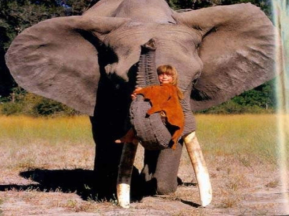 珍珠鸟 (2)_第2页