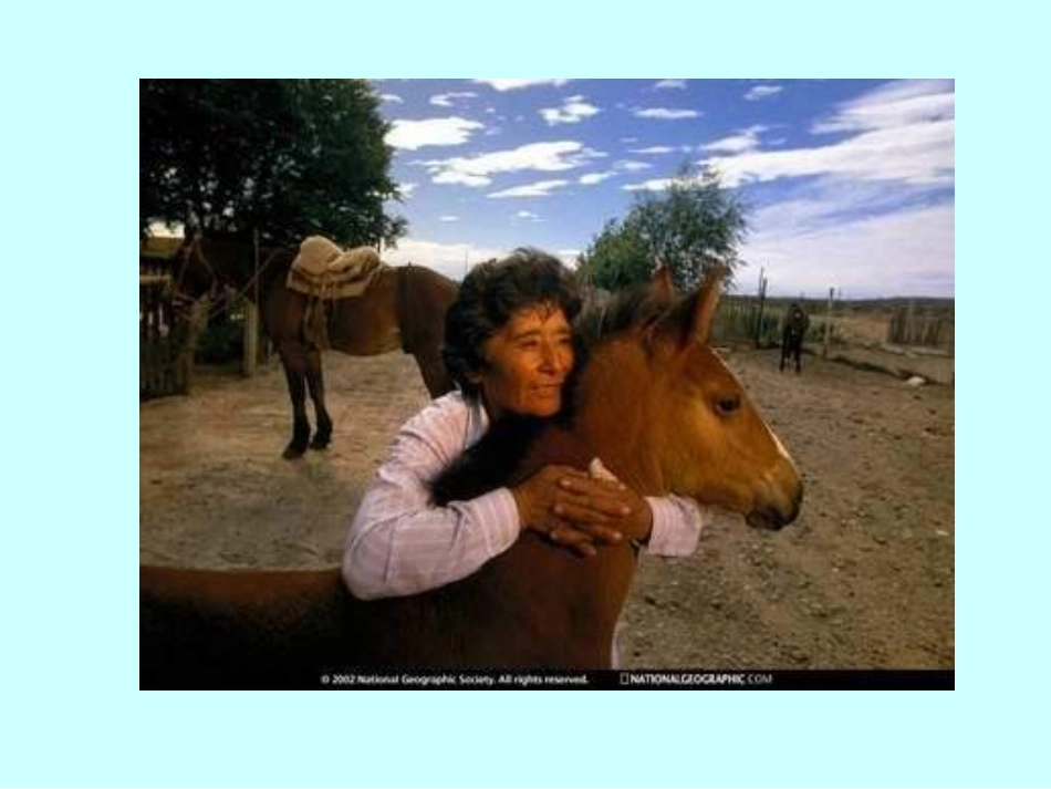 珍珠鸟 (2)_第3页