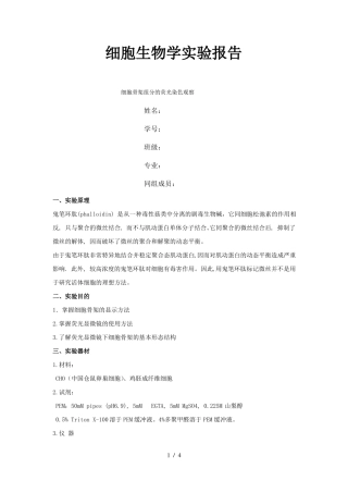 细胞骨架组分的荧光染色观察