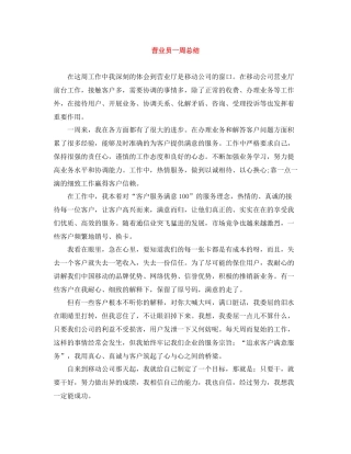 营业员一周总结