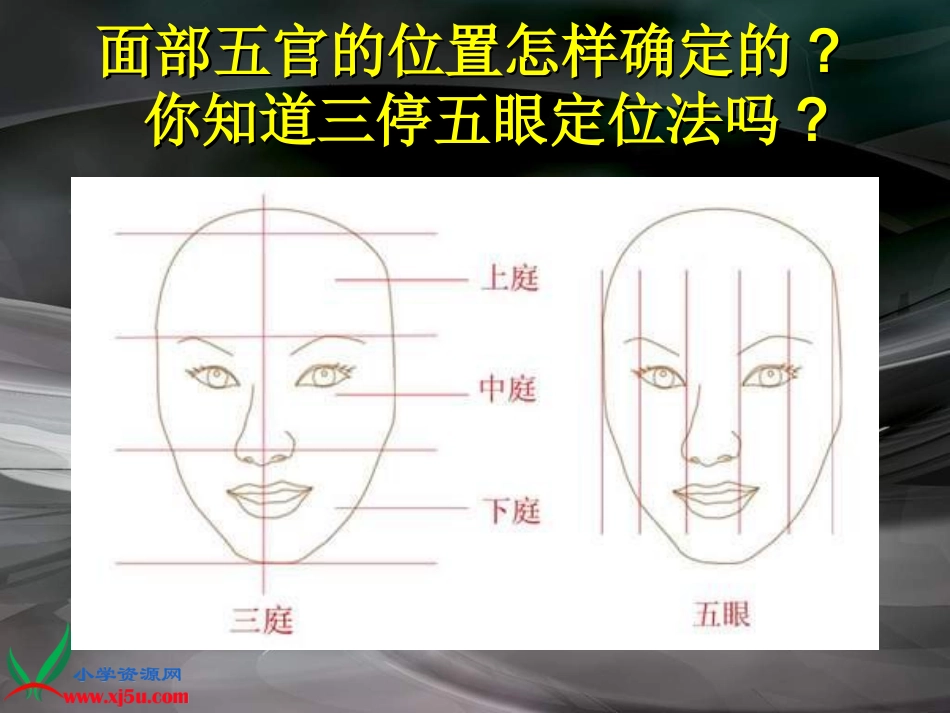 小学美术五年级上册《画人像》-人美版PPT课件_第3页