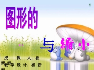 图形的放大与缩小 (4)