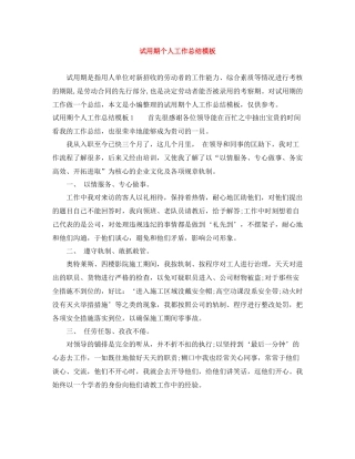 试用期个人工作总结模板