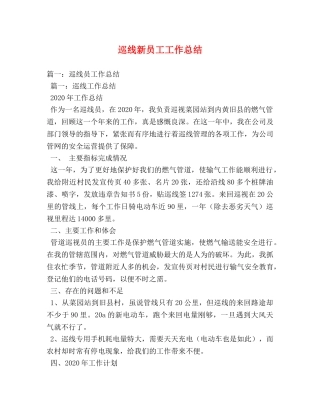 巡线新员工工作总结 