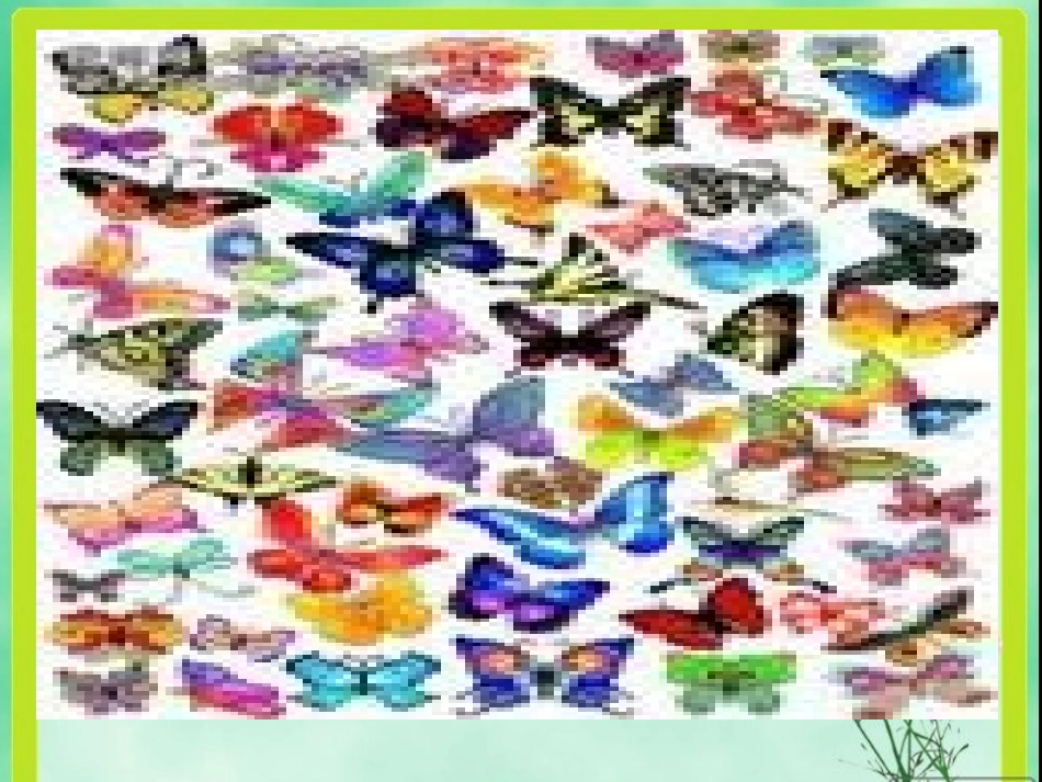 -汉字家园(二)课件_第3页