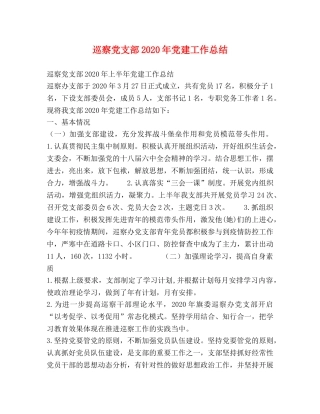 巡察党支部2020年党建工作总结 