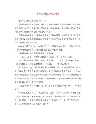 公司个人培训工作总结范文