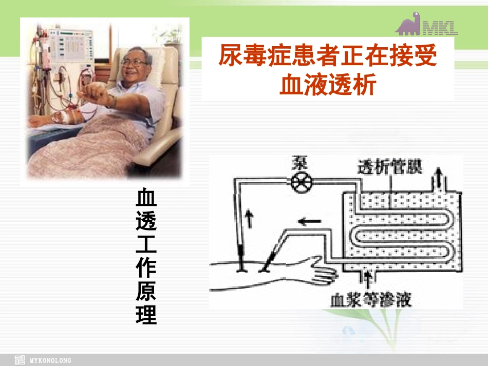 必修1第4章第2节生物膜的流动镶嵌模型_第1页