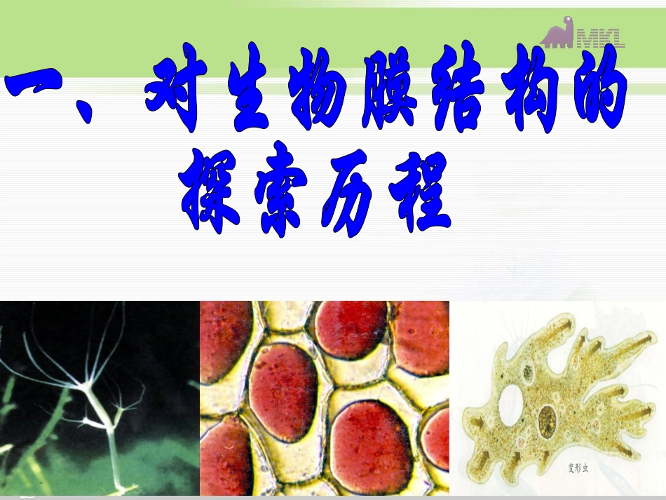 必修1第4章第2节生物膜的流动镶嵌模型_第3页