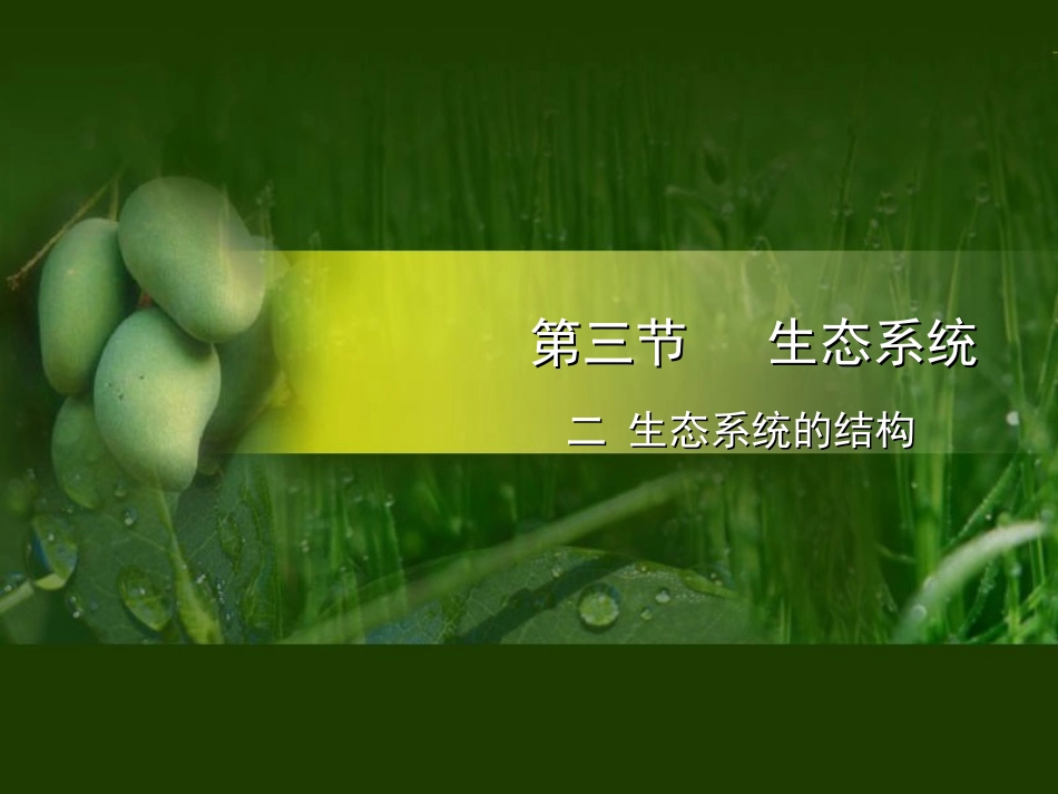 第三节生态系统　二生态系统的结构_第1页