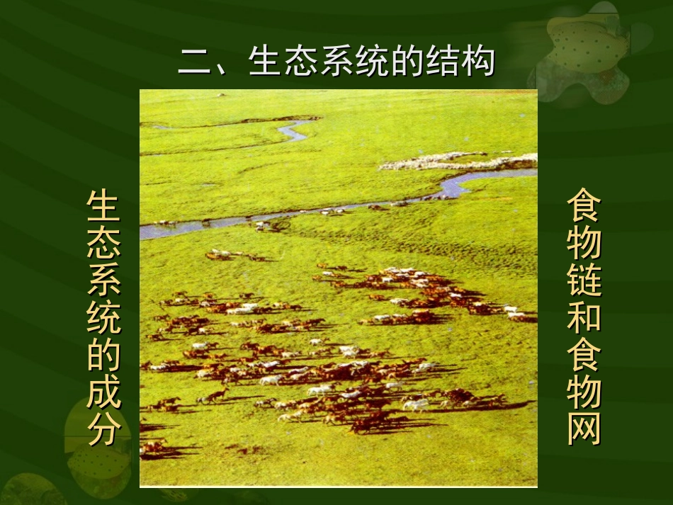 第三节生态系统　二生态系统的结构_第2页