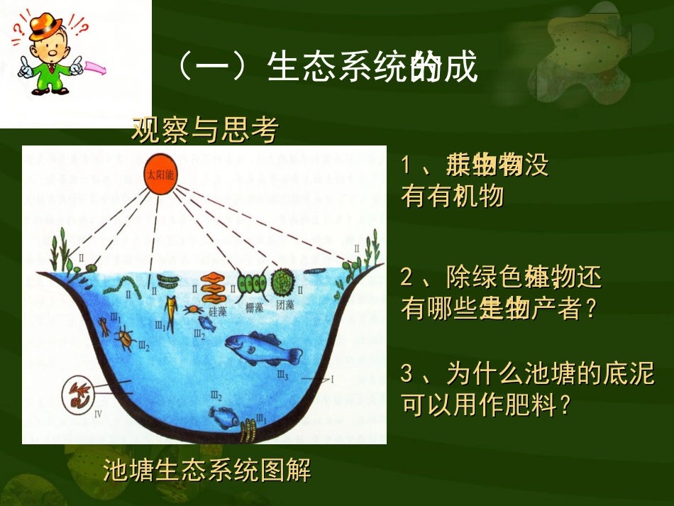 第三节生态系统　二生态系统的结构_第3页
