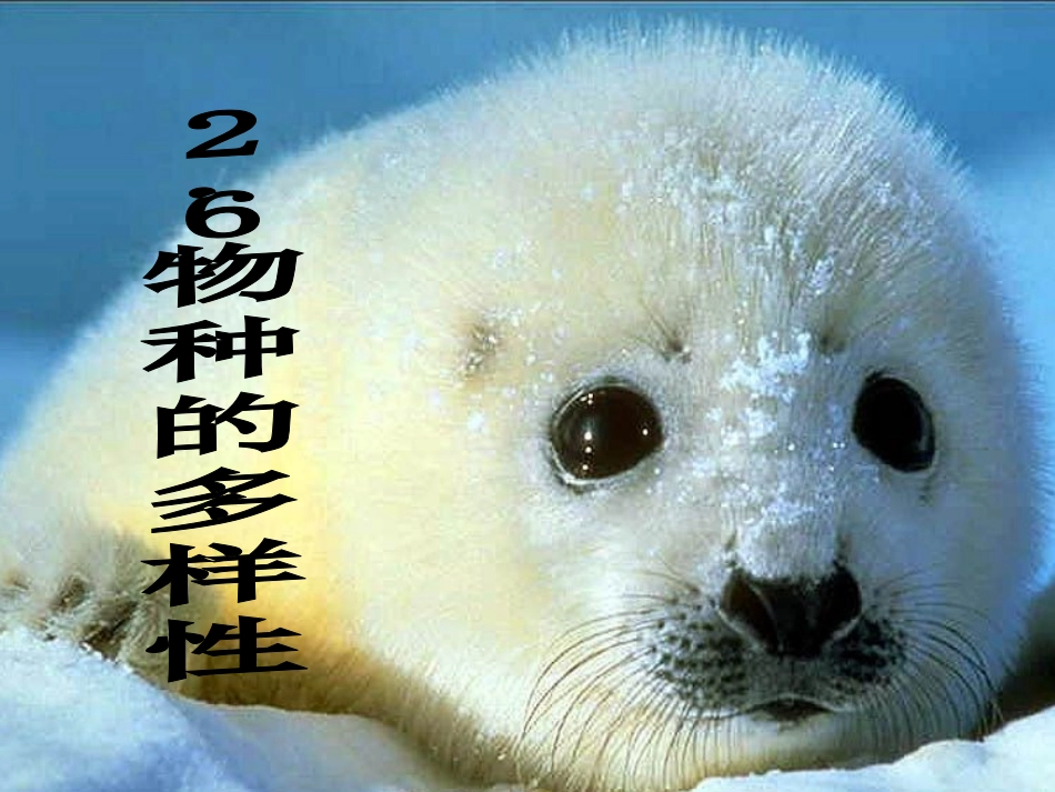 物种的多样性_第2页